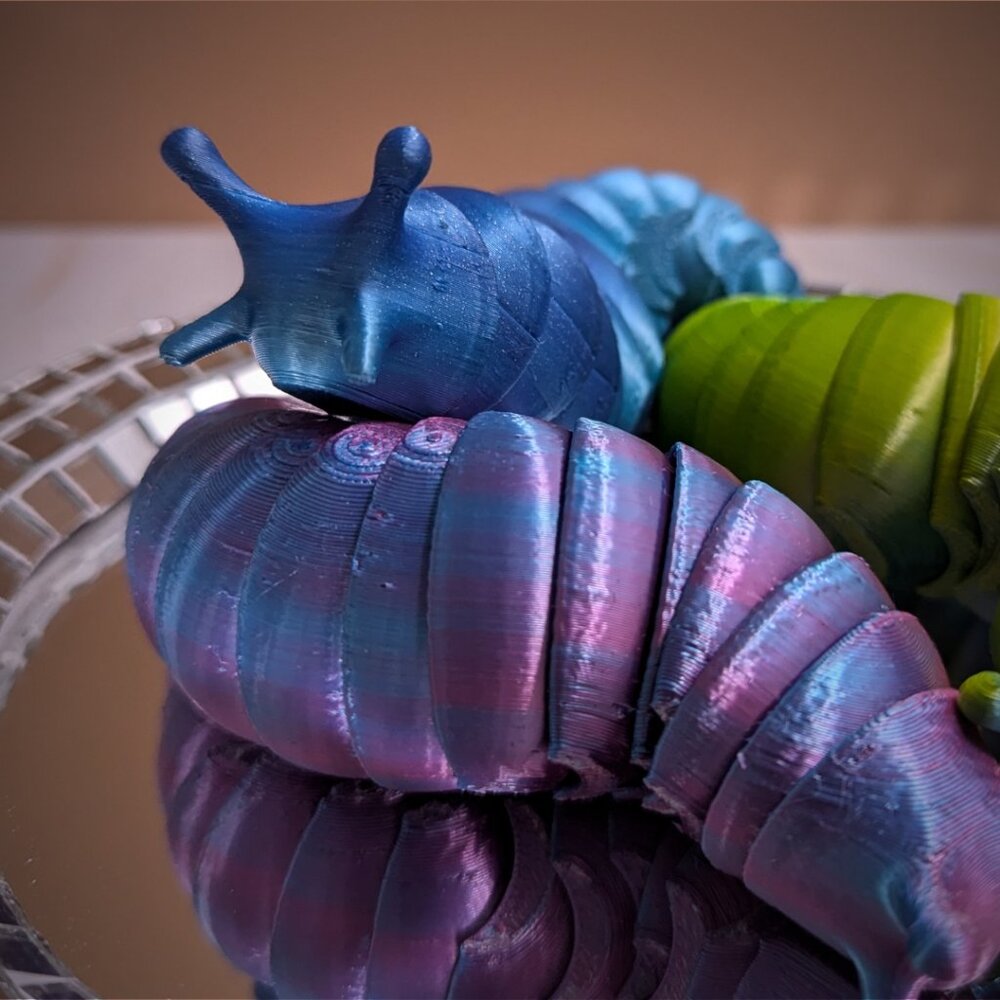 Chonky Slug Fidget Toy